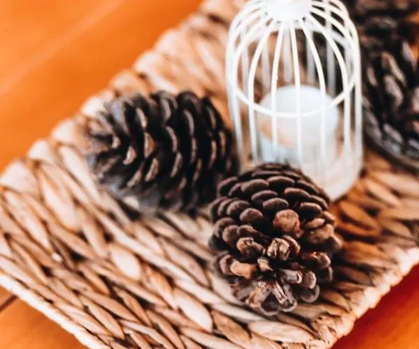 Mobile Peponi Del Mar, Porton Biondi *